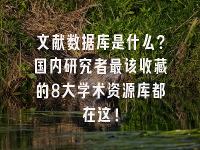文献数据库是什么？国内研究者最该收藏的8大学术资源库都在这！