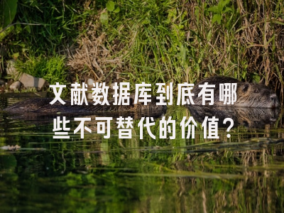 文献数据库到底有哪些不可替代的价值？