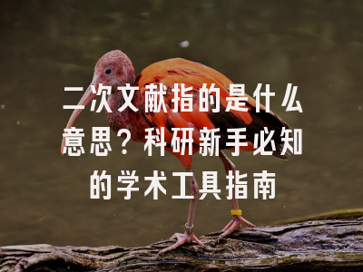 二次文献指的是什么意思？科研新手必知的学术工具指南