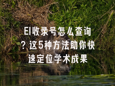EI收录号怎么查询？这5种方法助你快速定位学术成果