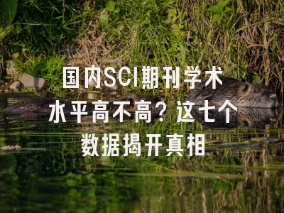 国内SCI期刊学术水平高不高？这七个数据揭开真相