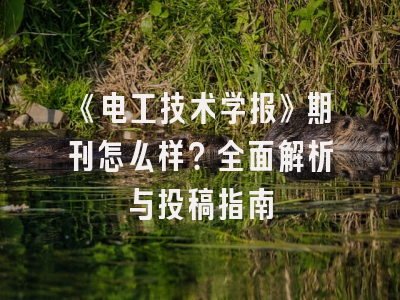 《电工技术学报》期刊怎么样？全面解析与投稿指南