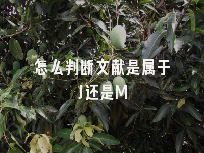 怎么判断文献是属于J还是M