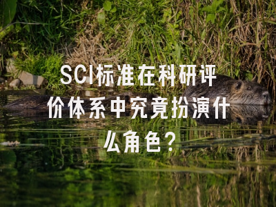 SCI标准在科研评价体系中究竟扮演什么角色？