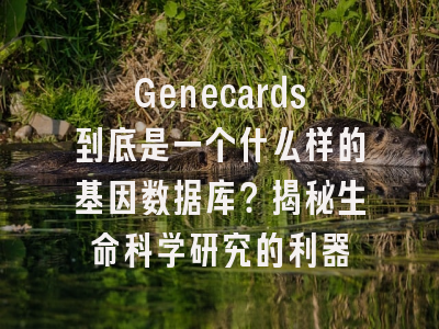 Genecards到底是一个什么样的基因数据库？揭秘生命科学研究的利器