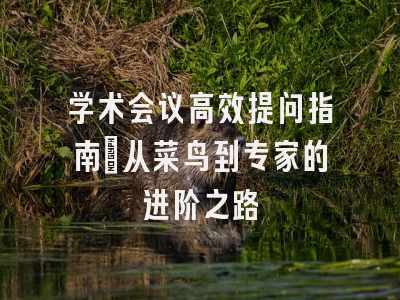 学术会议高效提问指南：从菜鸟到专家的进阶之路