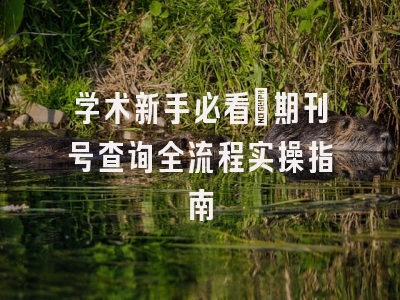 学术新手必看：期刊号查询全流程实操指南