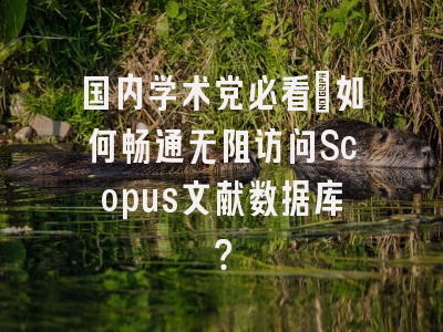 国内学术党必看：如何畅通无阻访问Scopus文献数据库？