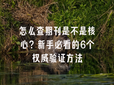 怎么查期刊是不是核心？新手必看的6个权威验证方法