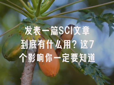 发表一篇SCI文章到底有什么用？这7个影响你一定要知道