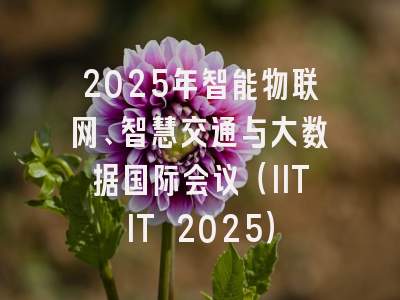 2025年智能物联网、智慧交通与大数据国际会议（IITIT 2025）