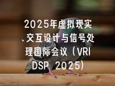 2025年虚拟现实、交互设计与信号处理国际会议（VRIDSP 2025）