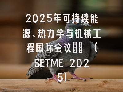 2025年可持续能源、热力学与机械工程国际会议?? （SETME 2025）