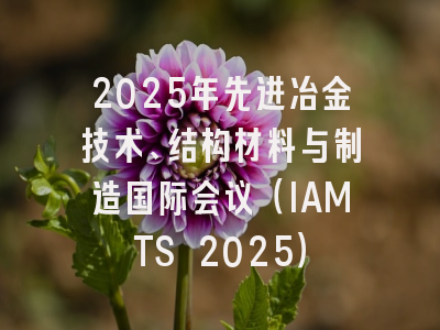 2025年先进冶金技术、结构材料与制造国际会议（IAMTS 2025）