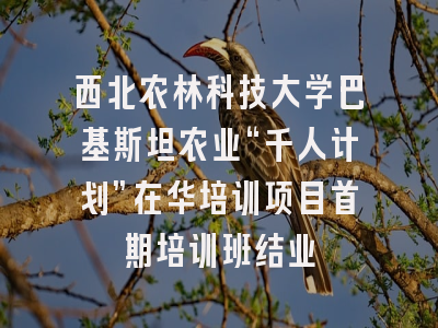 西北农林科技大学巴基斯坦农业“千人计划”在华培训项目首期培训班结业