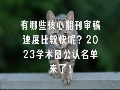 有哪些核心期刊审稿速度比较快呢？2023学术圈公认名单来了！