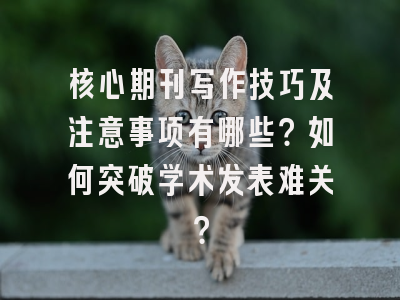 核心期刊写作技巧及注意事项有哪些？如何突破学术发表难关？