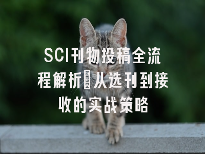SCI刊物投稿全流程解析：从选刊到接收的实战策略