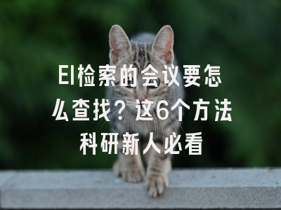 EI检索的会议要怎么查找？这6个方法科研新人必看