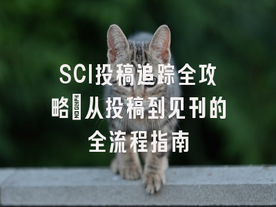 SCI投稿追踪全攻略：从投稿到见刊的全流程指南