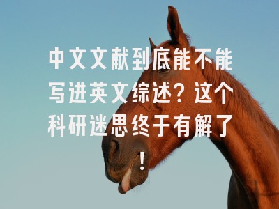 中文文献到底能不能写进英文综述？这个科研迷思终于有解了！