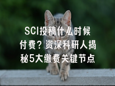 SCI投稿什么时候付费？资深科研人揭秘5大缴费关键节点