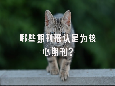 哪些期刊被认定为核心期刊？