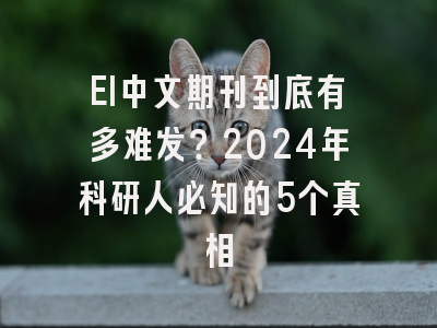 EI中文期刊到底有多难发？2024年科研人必知的5个真相
