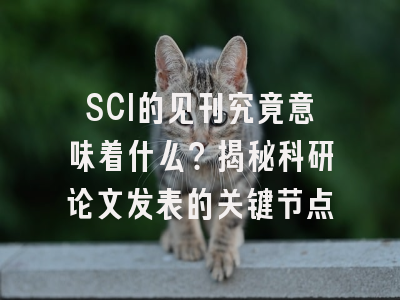 SCI的见刊究竟意味着什么？揭秘科研论文发表的关键节点