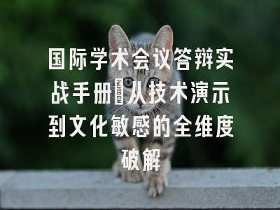 国际学术会议答辩实战手册：从技术演示到文化敏感的全维度破解