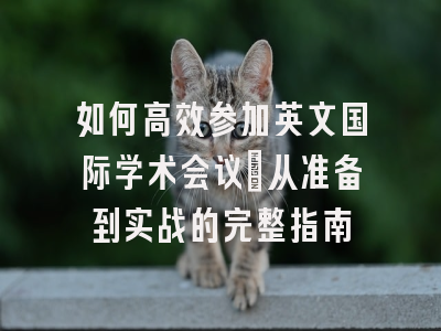 如何高效参加英文国际学术会议：从准备到实战的完整指南