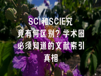 SCI和SCIE究竟有何区别？学术圈必须知道的文献索引真相