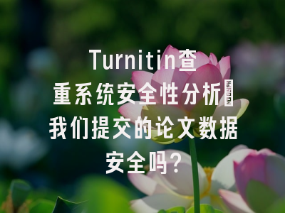 Turnitin查重系统安全性分析：我们提交的论文数据安全吗？