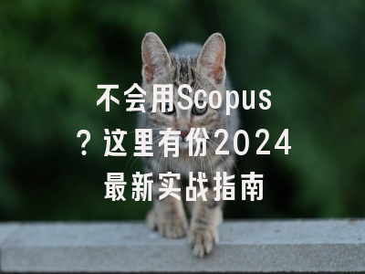 不会用Scopus？这里有份2024最新实战指南