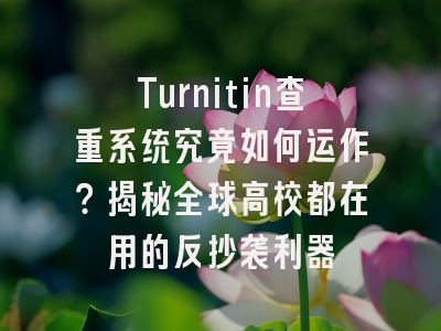 Turnitin查重系统究竟如何运作？揭秘全球高校都在用的反抄袭利器