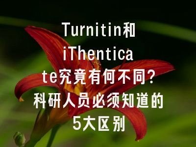 Turnitin和iThenticate究竟有何不同？科研人员必须知道的5大区别