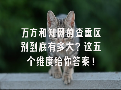 万方和知网的查重区别到底有多大？这五个维度给你答案！