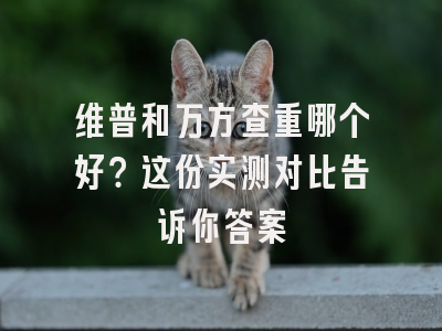 维普和万方查重哪个好？这份实测对比告诉你答案