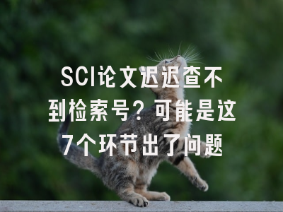 SCI论文迟迟查不到检索号？可能是这7个环节出了问题