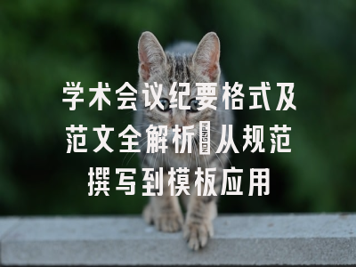 学术会议纪要格式及范文全解析：从规范撰写到模板应用