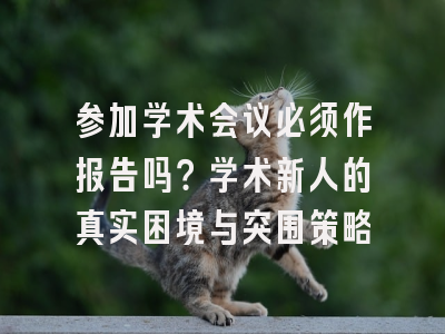 参加学术会议必须作报告吗？学术新人的真实困境与突围策略