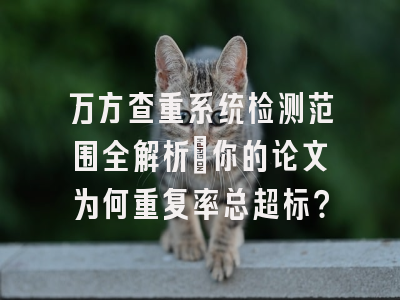 万方查重系统检测范围全解析：你的论文为何重复率总超标？