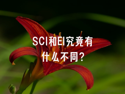 SCI和EI究竟有什么不同？