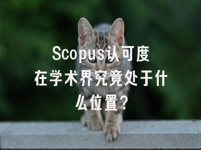 Scopus认可度在学术界究竟处于什么位置？