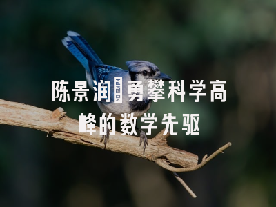 陈景润：勇攀科学高峰的数学先驱