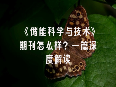 《储能科学与技术》期刊怎么样？一篇深度解读