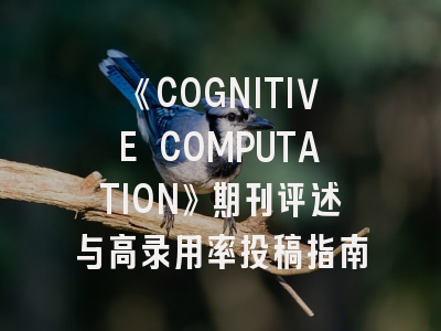 《COGNITIVE COMPUTATION》期刊评述与高录用率投稿指南