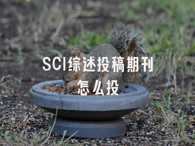 SCI综述投稿期刊怎么投