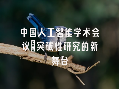 中国人工智能学术会议：突破性研究的新舞台
