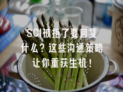 SCI被拒了要回复什么？这些沟通策略让你重获生机！